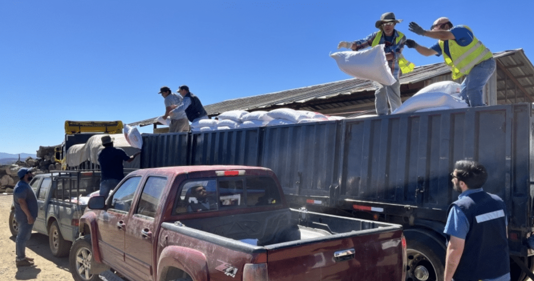 Ayuda Urgente: Familias de Purén Reciben Apoyo Tras Devastadores Incendios Forestales