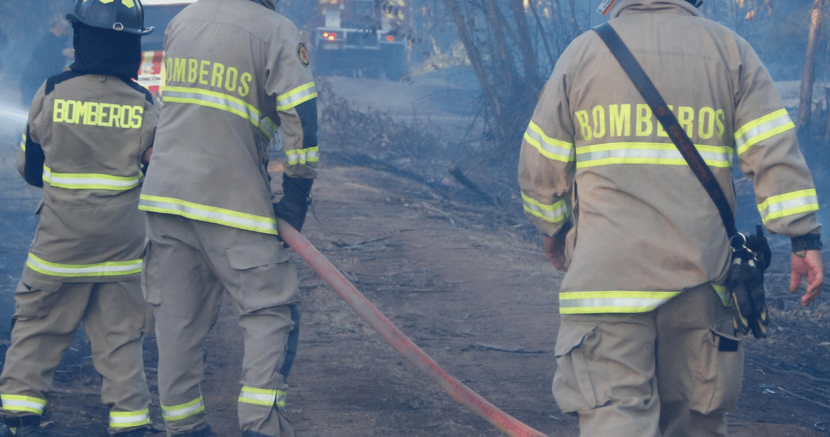 Bomberos de La Araucanía se acuartelan ante ola de calor: Incendios forestales y accidentes amenazan la región