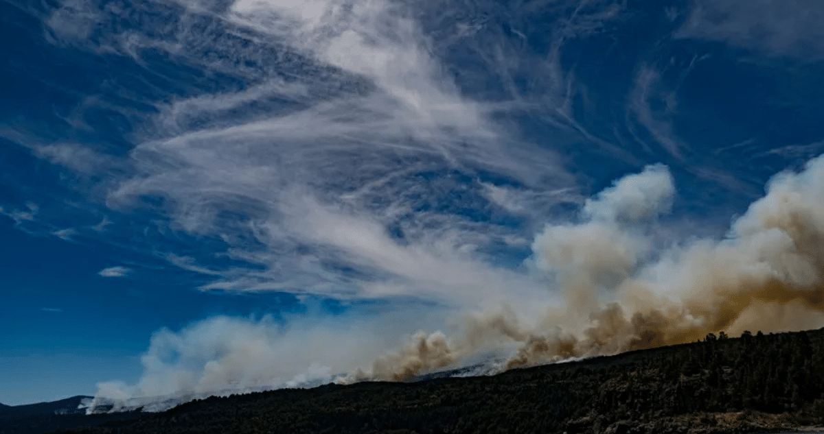 Devastación en la Patagonia: Más de 35,000 Hectáreas Consumidas por Incendios Forestales