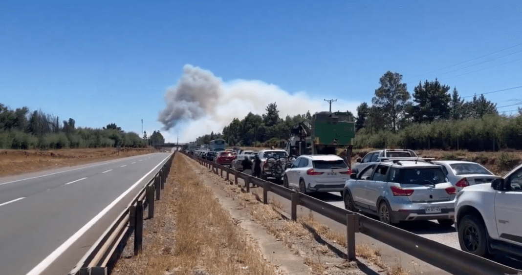 Devastador Incendio Forestal Obliga a Evacuaciones y Cierre de Ruta 5 Sur en La Araucanía