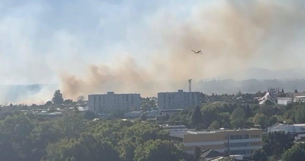 Emergencia en Chillán: Alerta Roja por Incendio Forestal Cerca del Cementerio