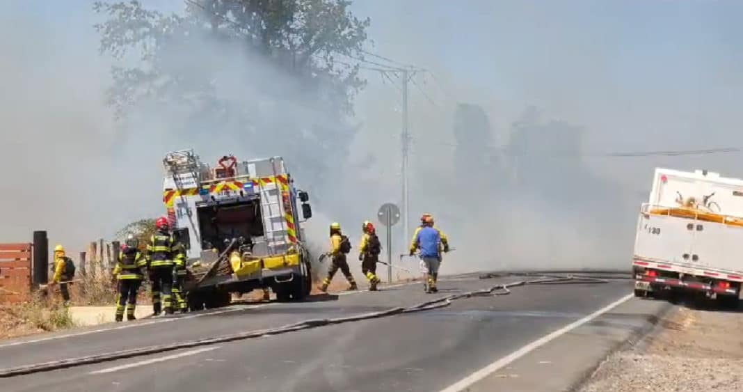 Empresarios de Bío Bío Unen Fuerzas para Solicitar Toque de Queda por Incendios Forestales