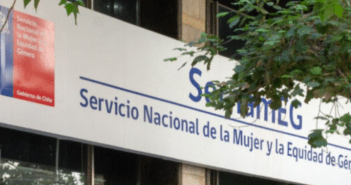 Gobierno Busca Líder Sernameg en Los Ríos: Proceso en Marcha