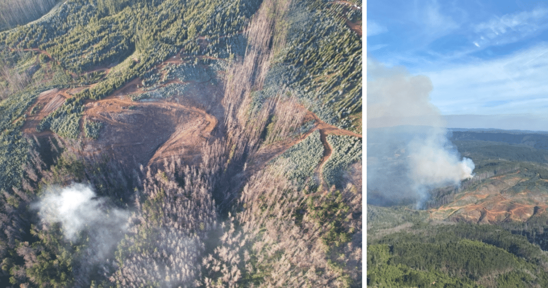 Hombre de 76 Años Detenido por Iniciar Incendio Forestal de 40 Hectáreas en Paillaco