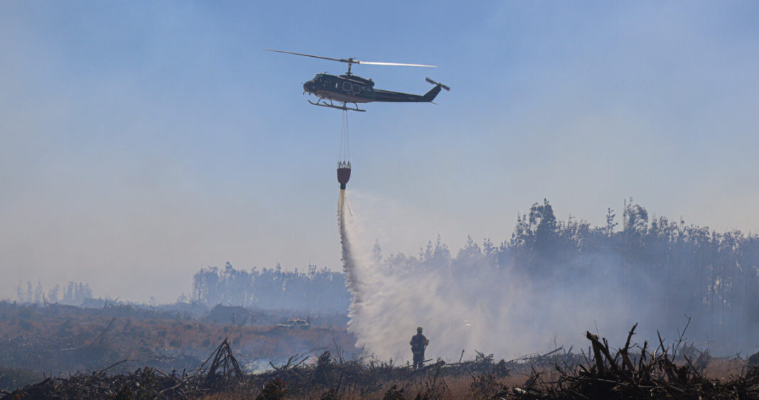 Incendios Forestales: Gobierno Presenta Evidencia de Intencionalidad y Nuevas Estrategias de Prevención