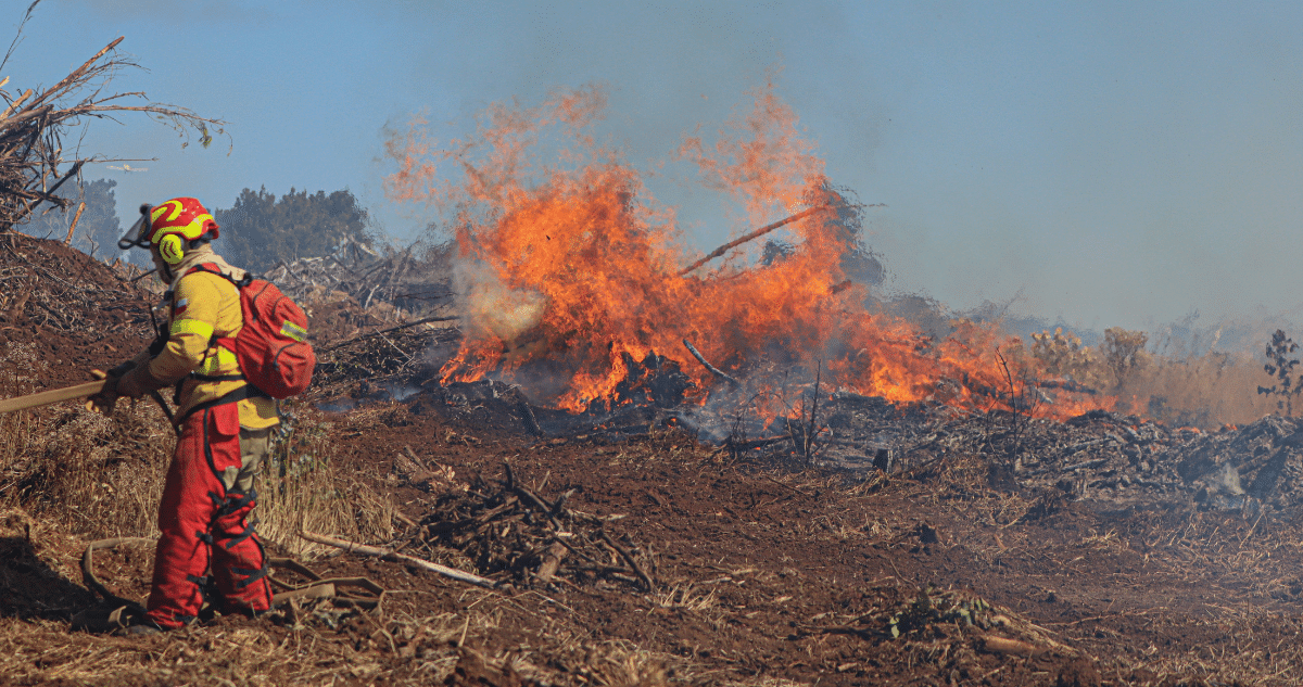 Incendios Forestales en La Araucanía: Combate Continuo y Apoyo Comunitario