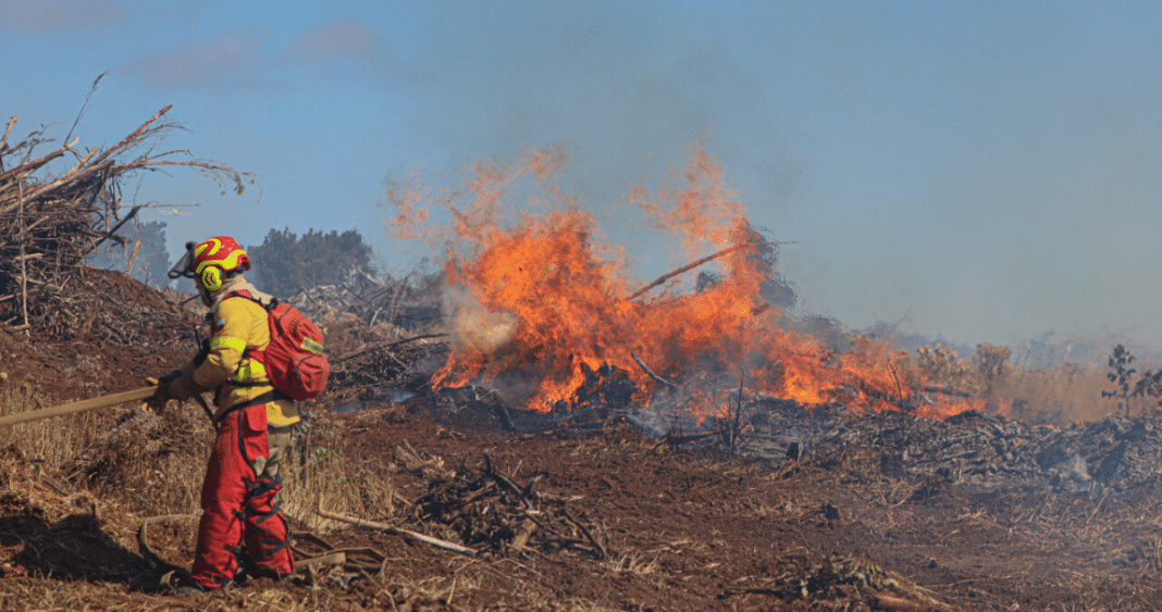 Investigaciones por Incendios Forestales: Desafíos y Oportunidades de Mejora