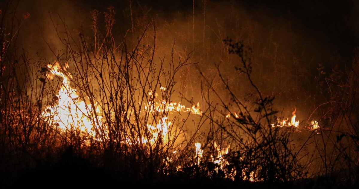 Mujer Detenida por Presunta Autoría de Incendio Forestal en Galvarino