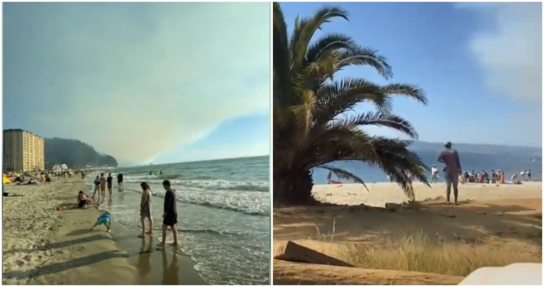 Refugio en El Túnel: Cómo los veraneantes de Punta de Parra enfrentaron el avance de los incendios forestales