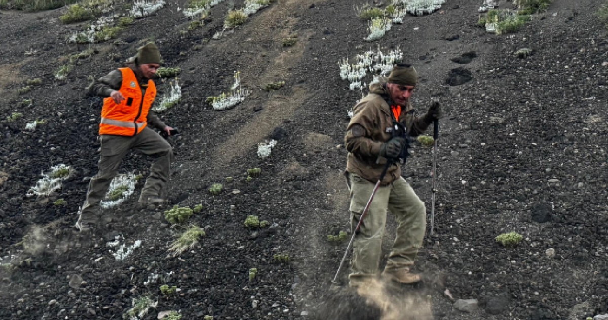 Rescate Exitoso: Hombre Desaparecido en el Volcán Llaima Encontrado Sano y Salvo