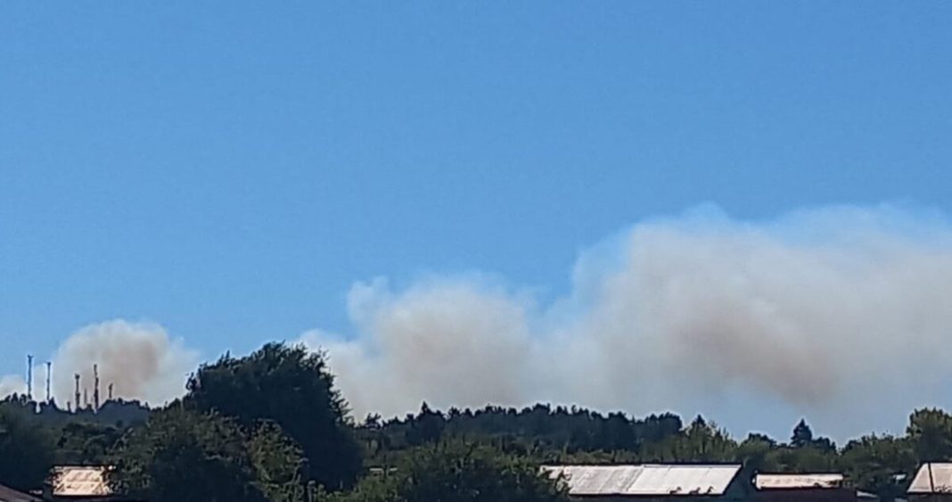 Alerta Roja en Los Ángeles: Incendio Fuera de Control Devasta Vivienda y Amenaza a 20 Más