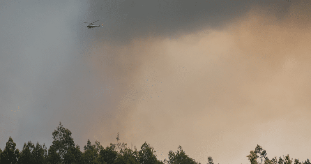 Alerta Temprana en La Araucanía: Preparándose para Enfrentar Incendios Forestales y Olas de Calor