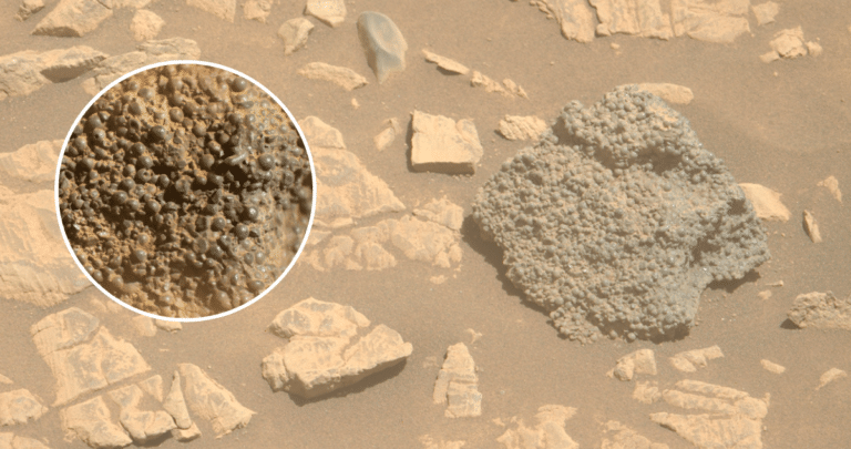Descubrimiento Fascinante: Rover de la NASA Revela Misteriosa Roca Marciana Cubierta de Esferas Enigmáticas