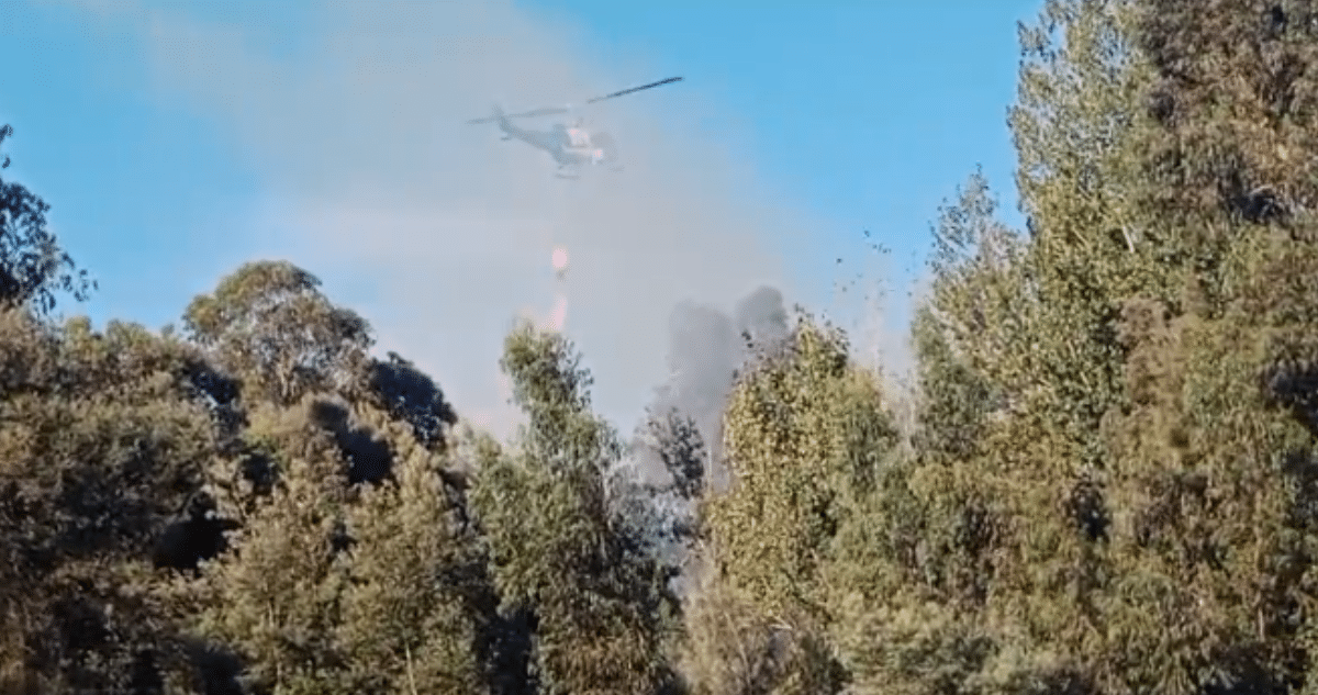 Devastador Incendio Forestal Azota el Jardín Botánico de la Universidad de Talca