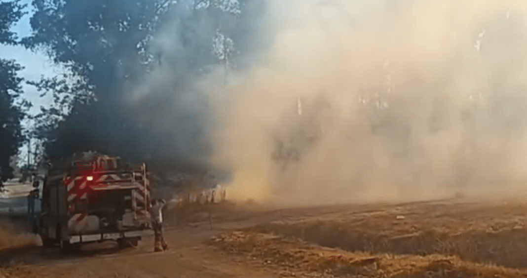 Dos Detenidos por Incendio Forestal en Jardín Botánico de la Universidad de Talca