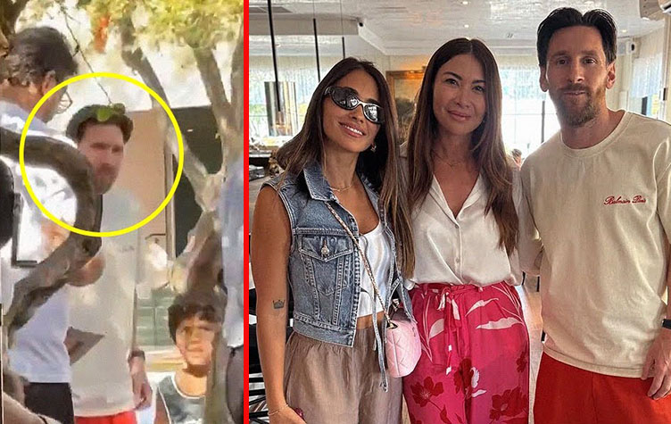 El Caniche Toy que Cautiva a Lionel Messi y Antonela Roccuzzo en Miami