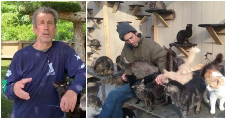 El Heroico Sacrificio del Fundador del Santuario de Gatos: Más de 100 Felinos Perecen en Trágico Incendio