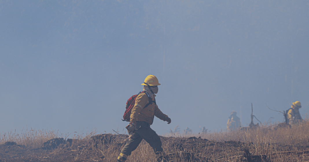 Emergencia en Paillaco: Autoridades Declaran Alerta Roja por Incendio Cercano a Viviendas