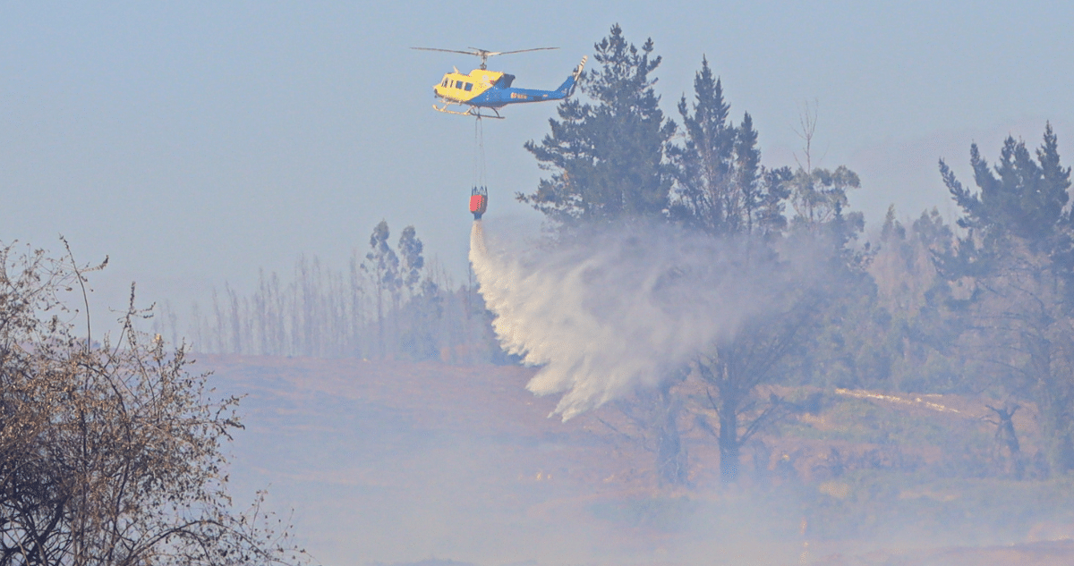 Enfrentando los Desafíos de los Incendios Forestales en La Araucanía: Un Esfuerzo Coordinado