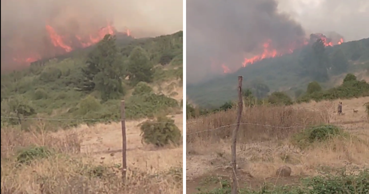 Evacuación Urgente en Victoria por Incendio Forestal Descontrolado