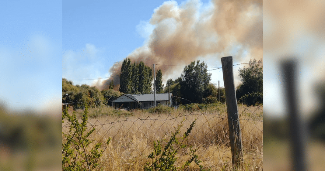 Incendio Forestal Controlado en Los Ángeles: Lecciones Aprendidas para Prevenir Futuros Desastres