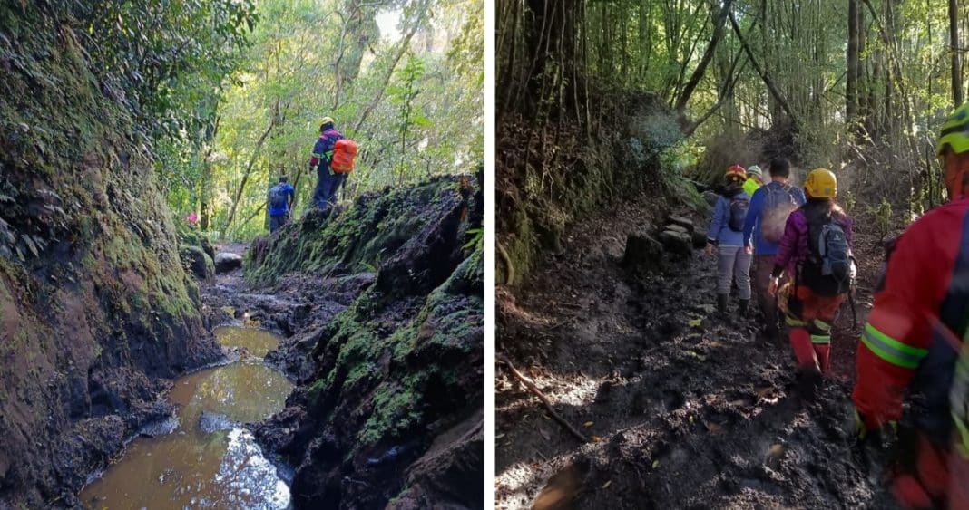 Intensa Búsqueda en Los Lagos: Joven Desaparecida en Valle Cochamó