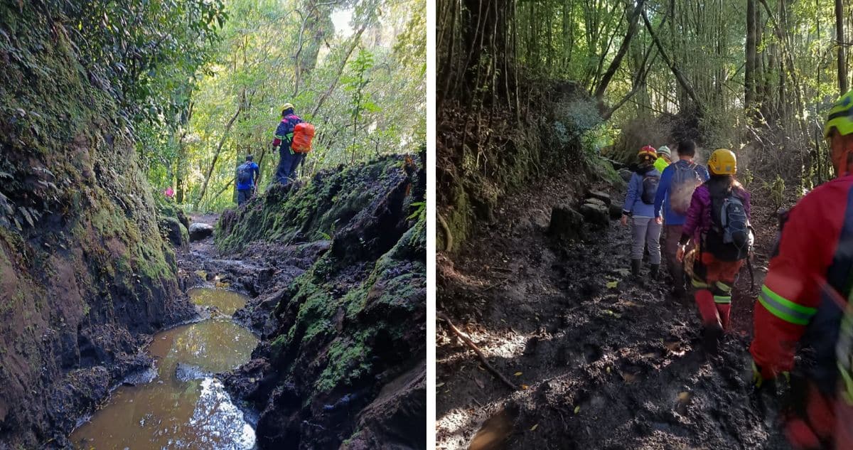 Intensa Búsqueda en Los Lagos: Joven Desaparecida en Valle Cochamó