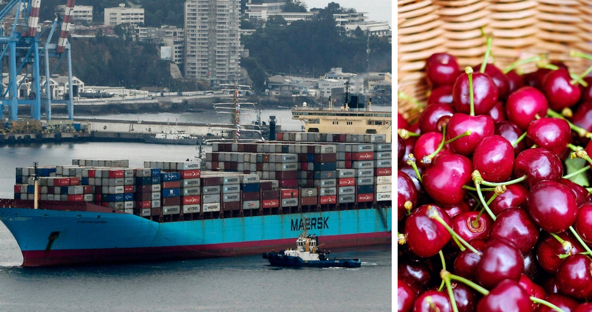 La Pesadilla de las Cerezas Chilenas: Cómo un Buque Varado Causó Pérdidas Millonarias