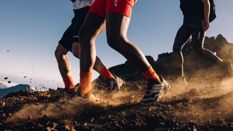 Las Nuevas Zapatillas Terrex Skychaser GORE-TEX: Aventura sin Límites, Estilo sin Excusas
