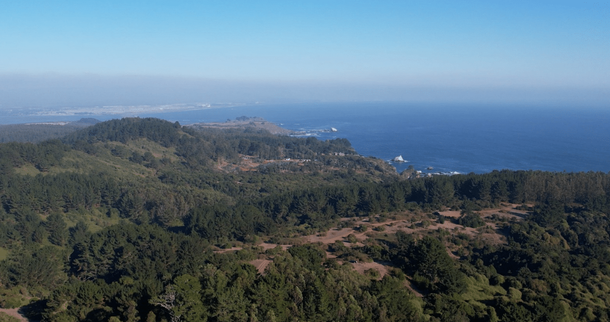 Protegiendo el Santuario de la Naturaleza: Oportunidad Única para el Estado