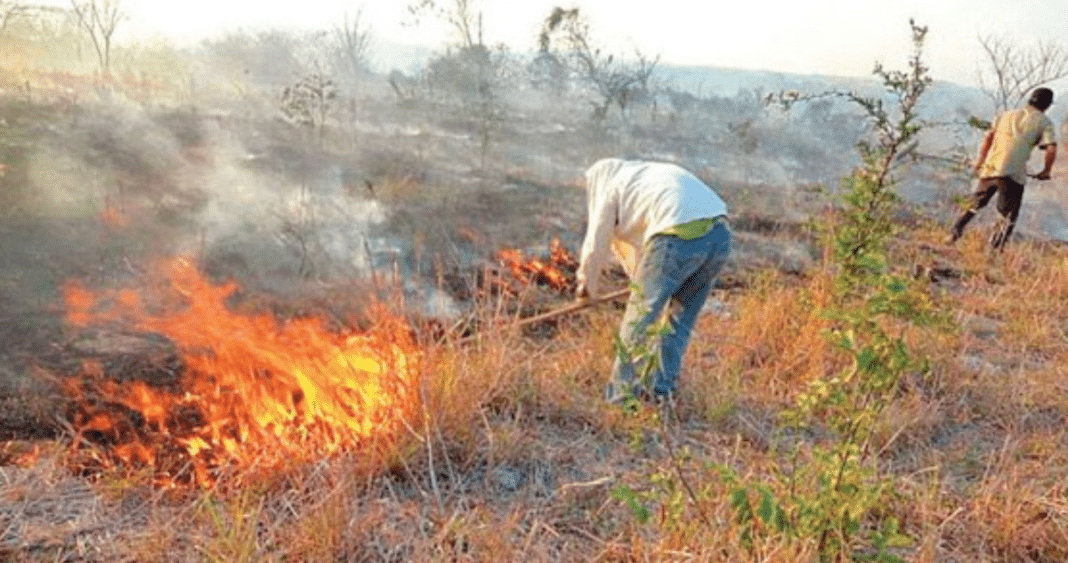 Suspensión de Quemas Controladas en La Araucanía: Desafíos de Coordinación entre Autoridades