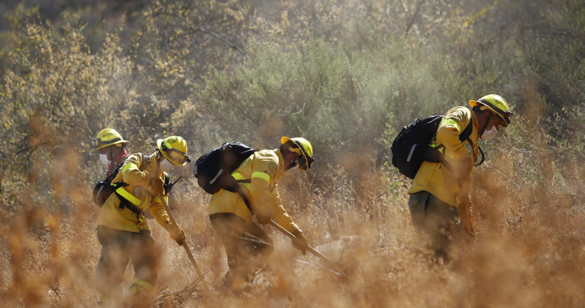 Tragedia en La Araucanía: Fallece Valiente Brigadista Combatiendo Incendio Forestal