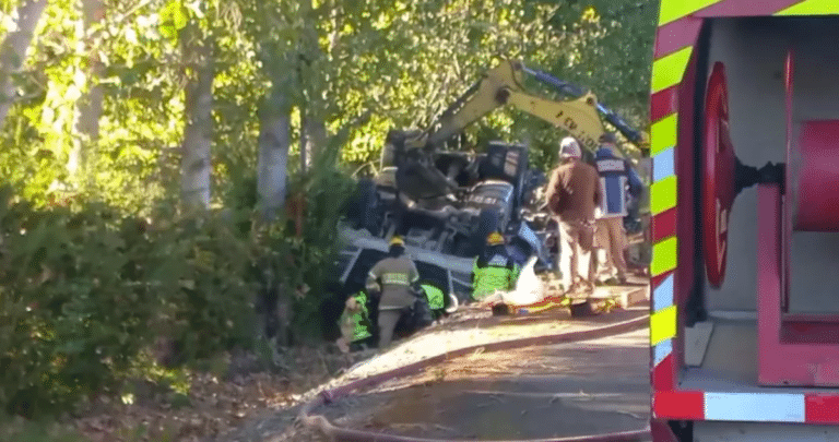 Trágico Vuelco de Camión en Ruta L202: Conductor Pierde la Vida