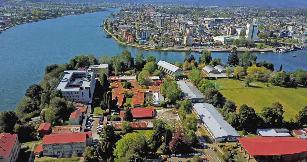 Tres Líderes Académicos Compiten por Transformar la Universidad Austral de Chile