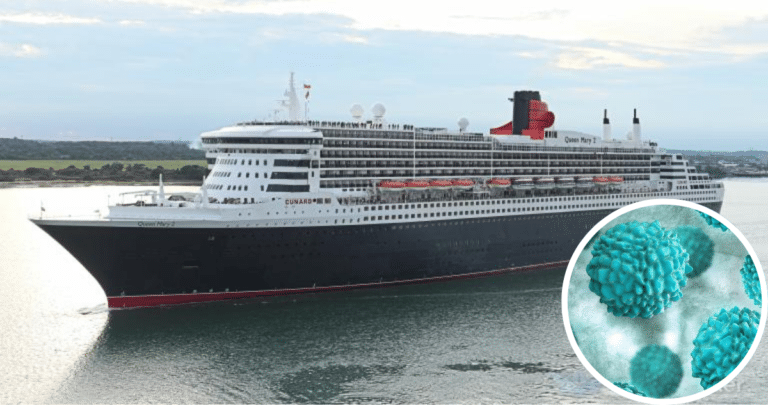 230 Pasajeros Enfermos: El Crucero del 'Terror' y el Brote Masivo de Norovirus