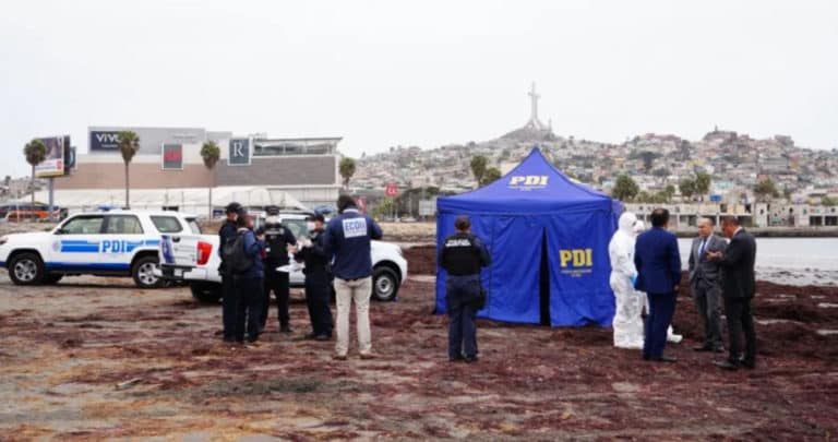 Crimen Atroz en Coquimbo: Fiscalía Busca Cadena Perpetua para Presunto Asesino