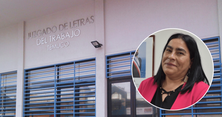 Demanda por Tutela Laboral: Cuestionamientos Políticos en la Seremi de Educación de La Araucanía