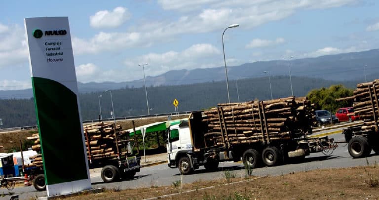 Desalojo Pendiente: Forestal Arauco Enfrenta Ocupación de Fundo Pidenco en La Araucanía