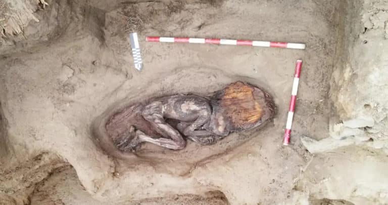 Descubrimiento Fascinante: Restos Bien Conservados de Mujer Noble de la Antigua Civilización Caral