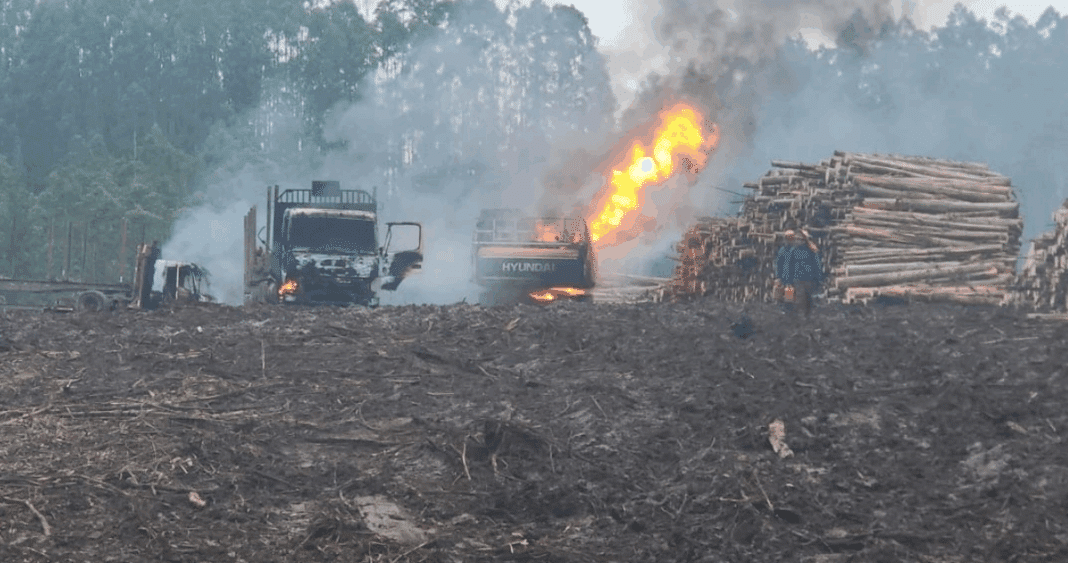 Devastación en Lautaro: Empresario Lucha por Reconstruir Tras Ataque Incendiario