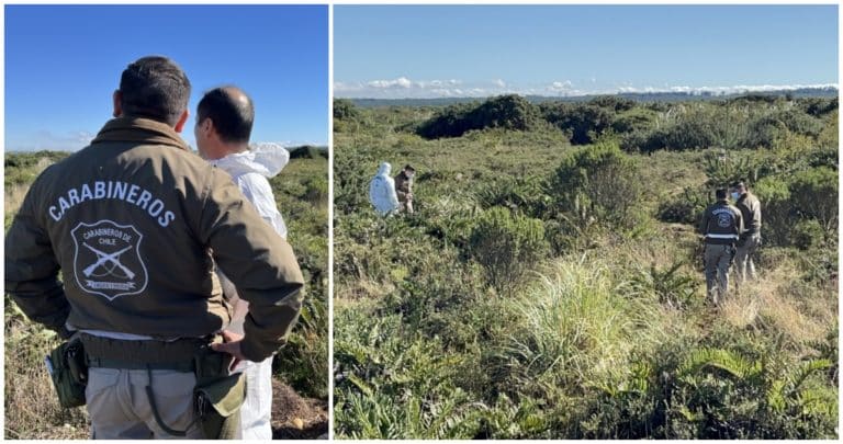 Experto Entomólogo Aporta Clave para Esclarecer Misteriosa Muerte de Eidan Pincheira