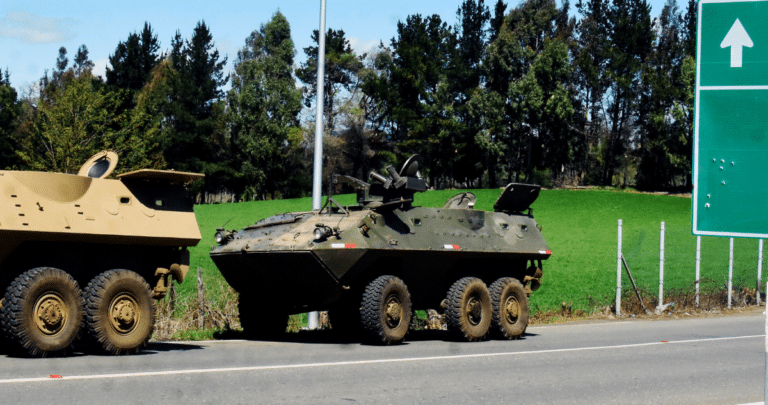 La Araucanía: Desafíos y Estrategias para Recuperar el Control Territorial