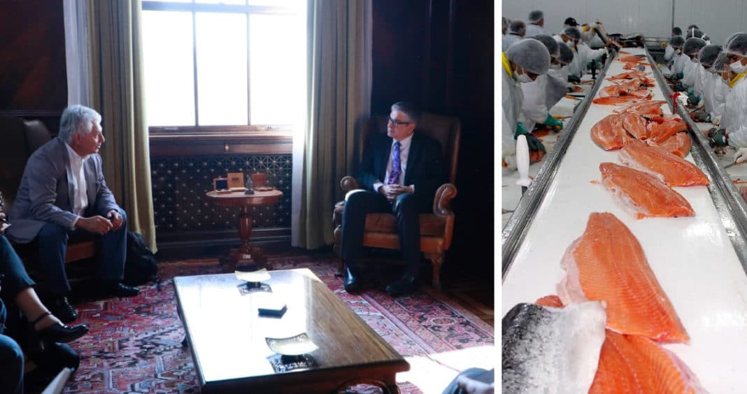 Salmón Chileno Enfrenta Desafíos Arancelarios: Gobierno Explora Medidas de Apoyo