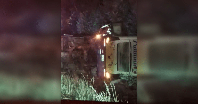 Trágico Accidente de Bus en Ruta Entre Los Sauces y Purén: Una Víctima Mortal y Múltiples Heridos