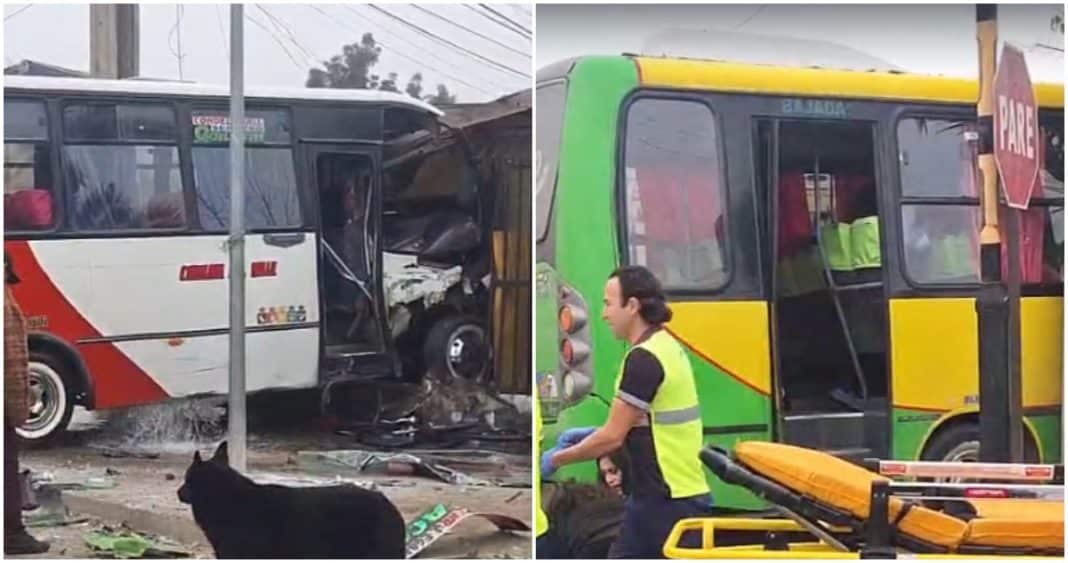 Accidente de Tránsito en Limache: 11 Heridos en Choque de Microbuses