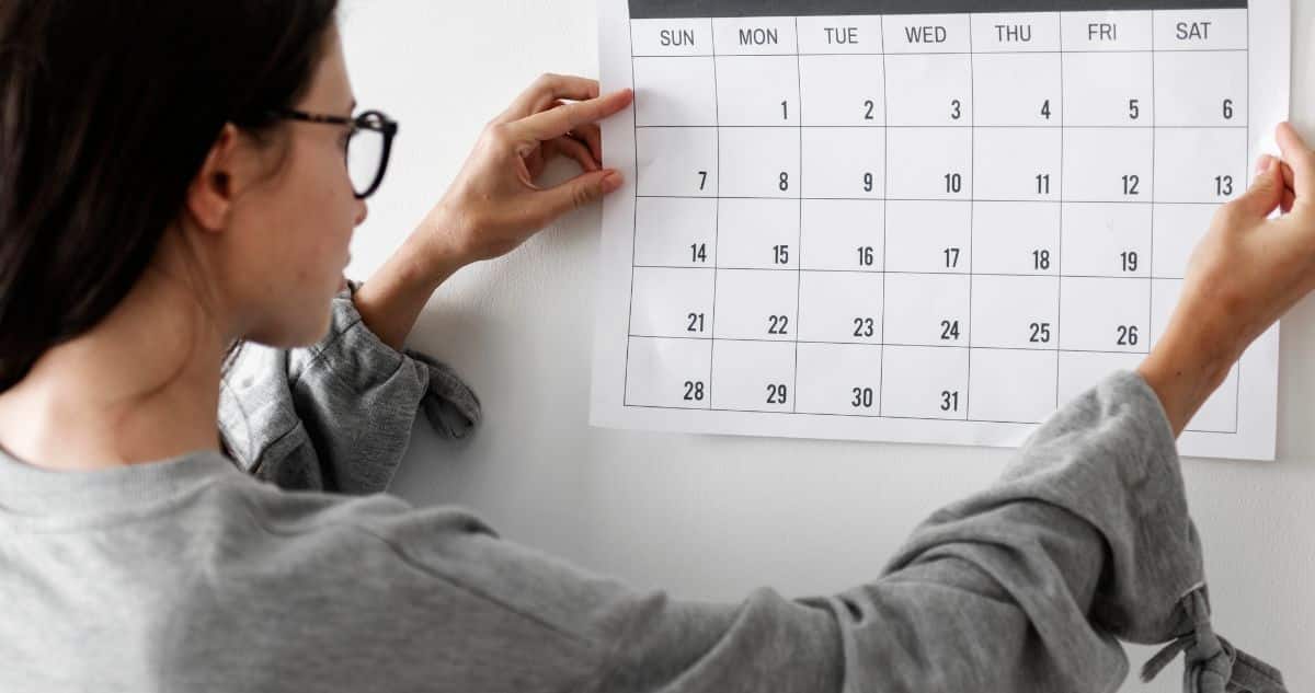Calendario Laboral 2025: Feriados y Fines de Semana Largos en Chile