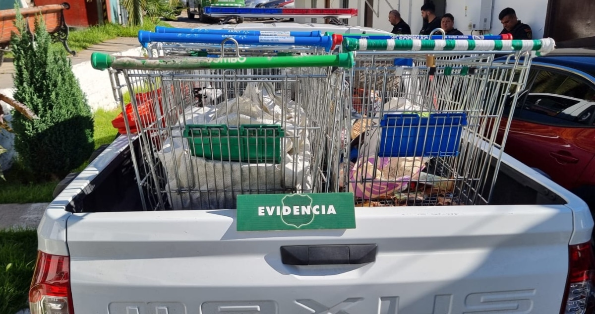 Combatiendo el Comercio Ilegal: Operativos Intensivos en Viña del Mar