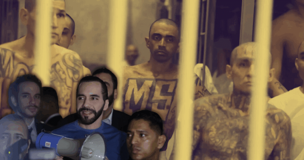 Cómo Nayib Bukele Ascendió al Poder: Revelaciones Sobre Pactos con Pandillas