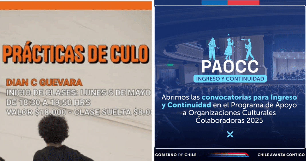 Cuestionando el Uso de Fondos Públicos: Auditoría Solicitada al Programa de Apoyo a Organizaciones Culturales