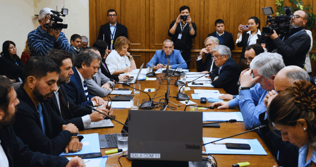 Debate Reabierto: Cuotas de Merluza Común Dividen Opiniones en Comisión Mixta
